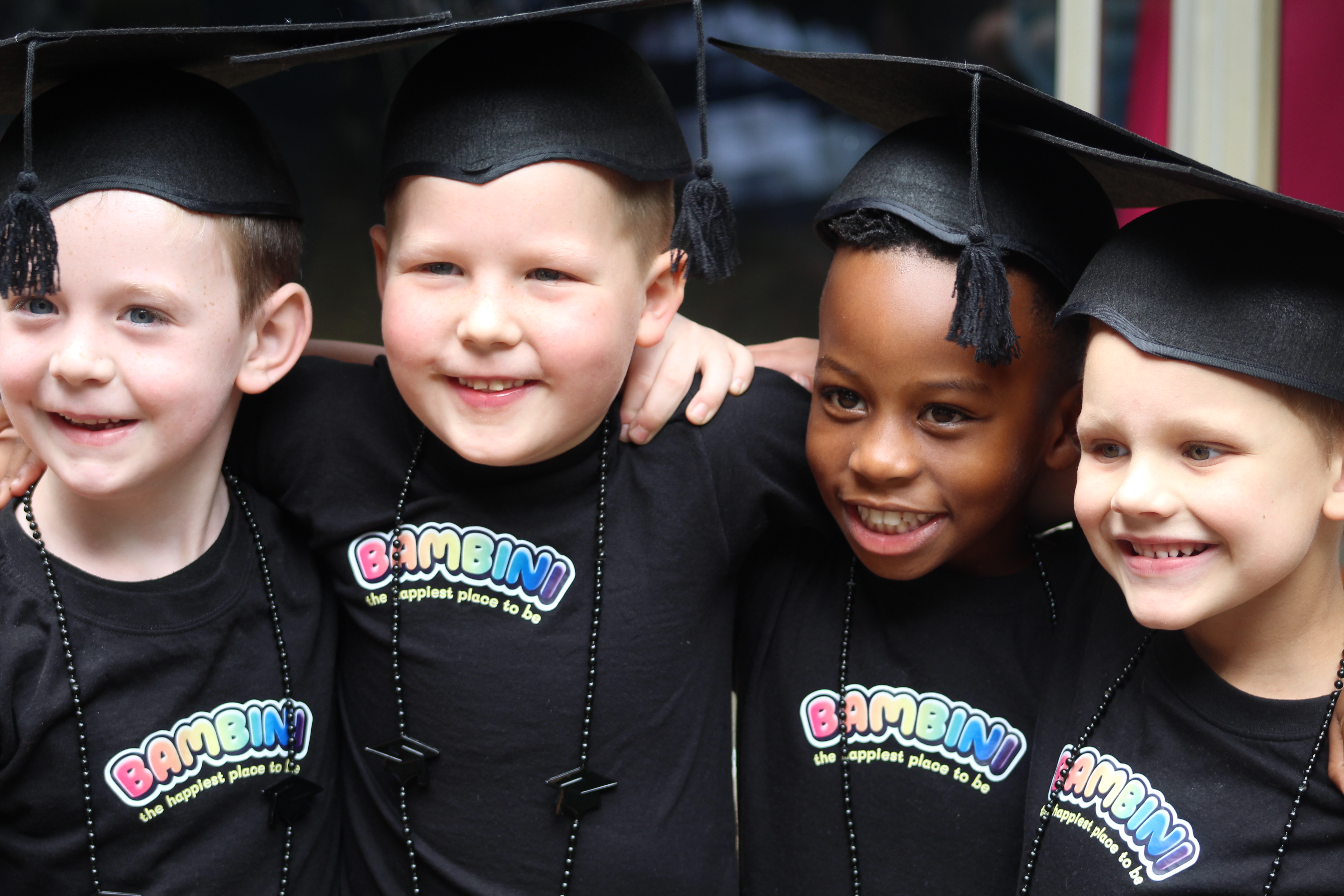 Where curiosity finds its wings